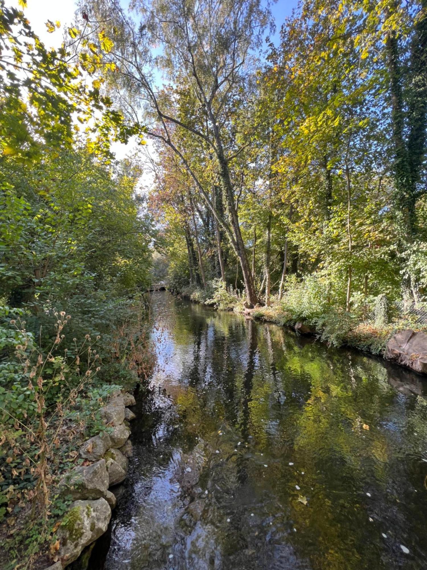 Privatzimmer 15 Qm Mit Gemeinschaftsbad Мюнхен Экстерьер фото